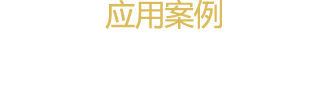 应用案例